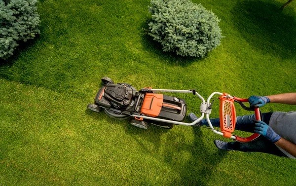 Gartenpflege